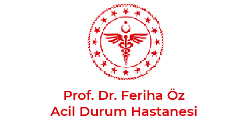 Hastane Açılışları